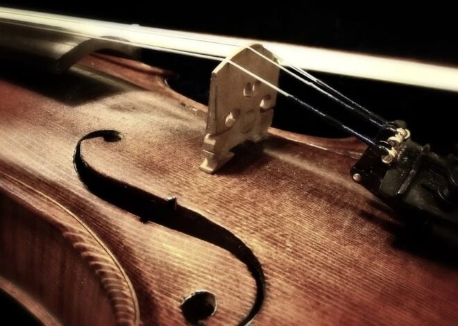 Débutez le violon et faites résonner votre passion musicale