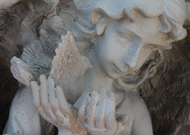 Les apôtres et leur mission auprès de Jésus